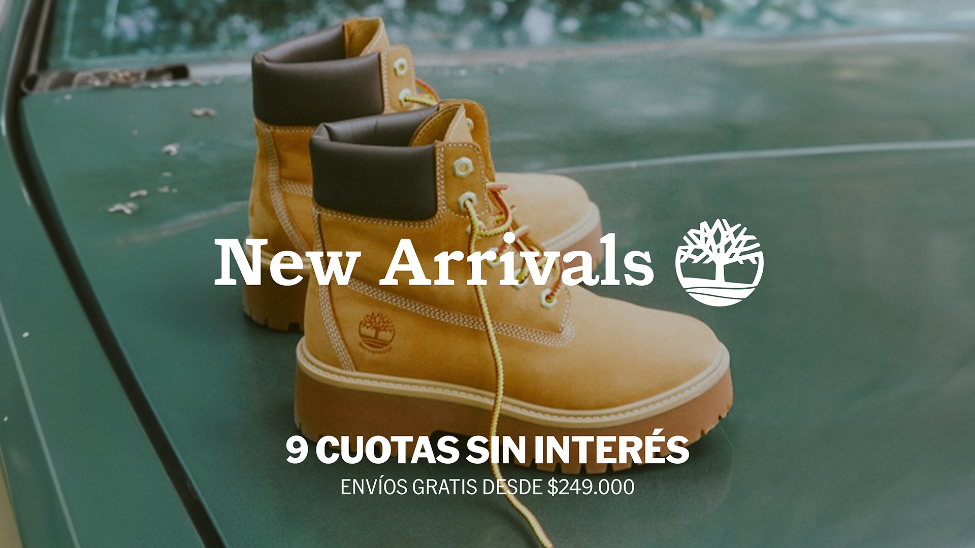 Timberland | Argentina