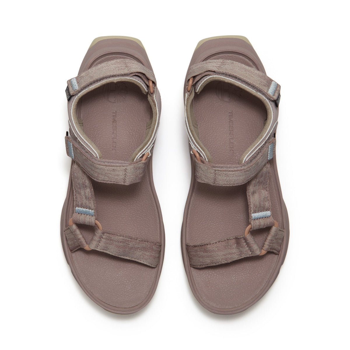light purple webbing