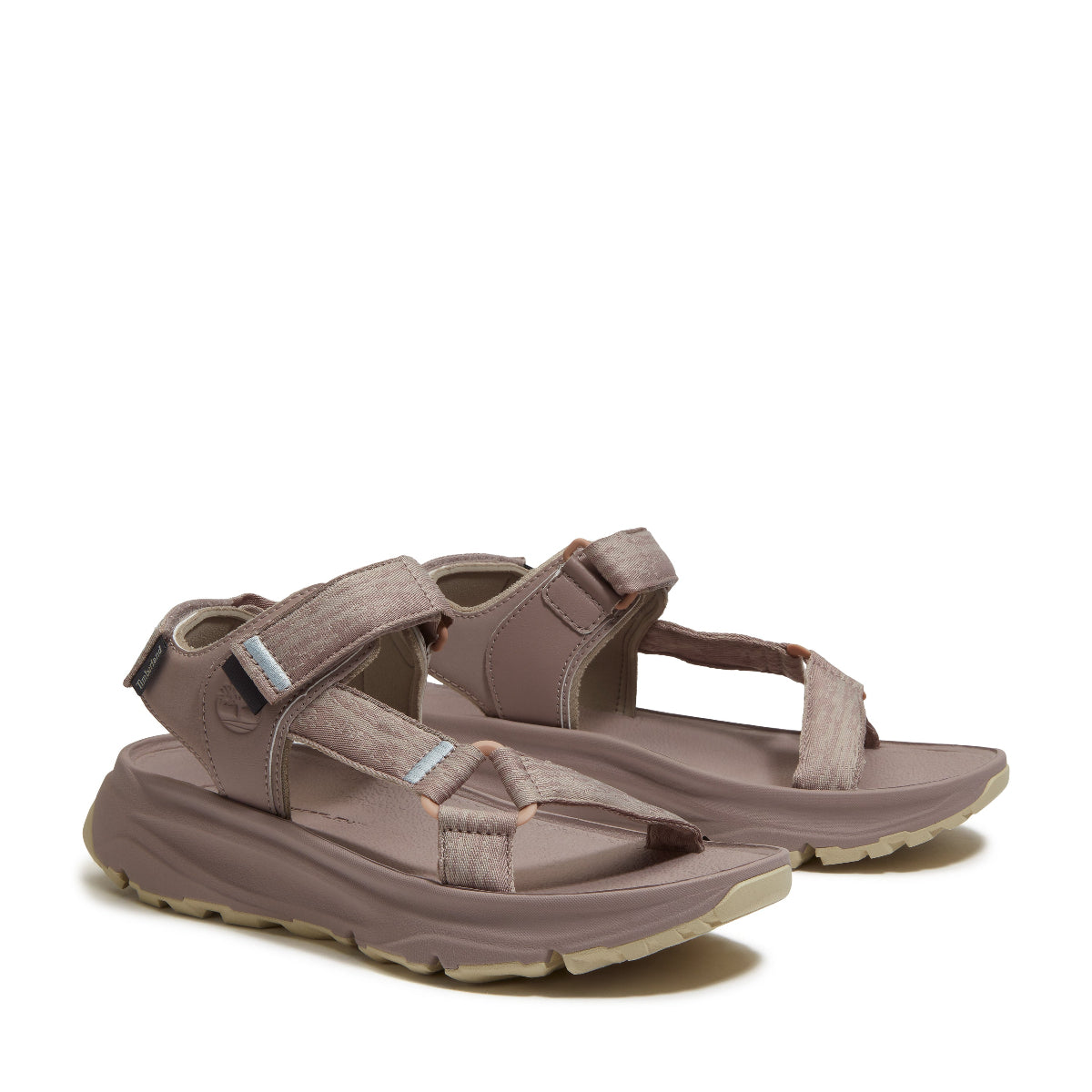 light purple webbing