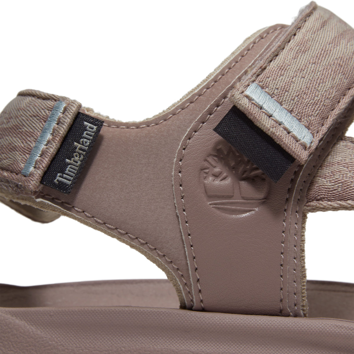 light purple webbing