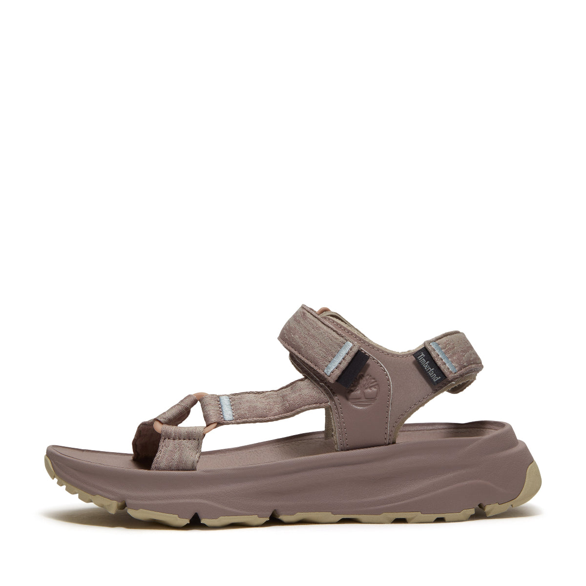 light purple webbing