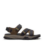 dark brown webbing