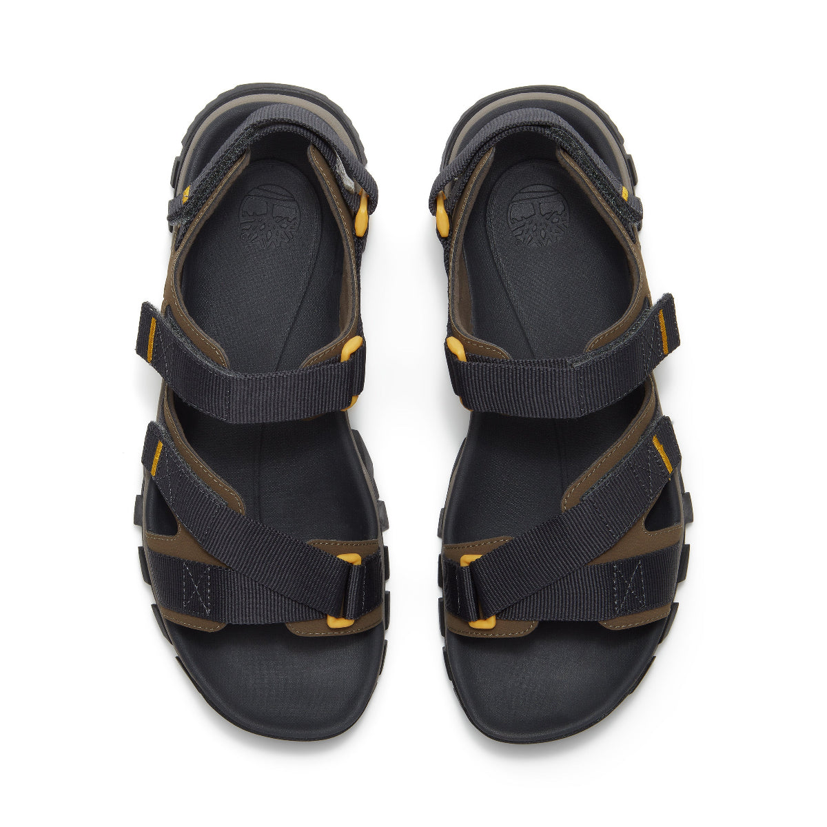 dark brown webbing