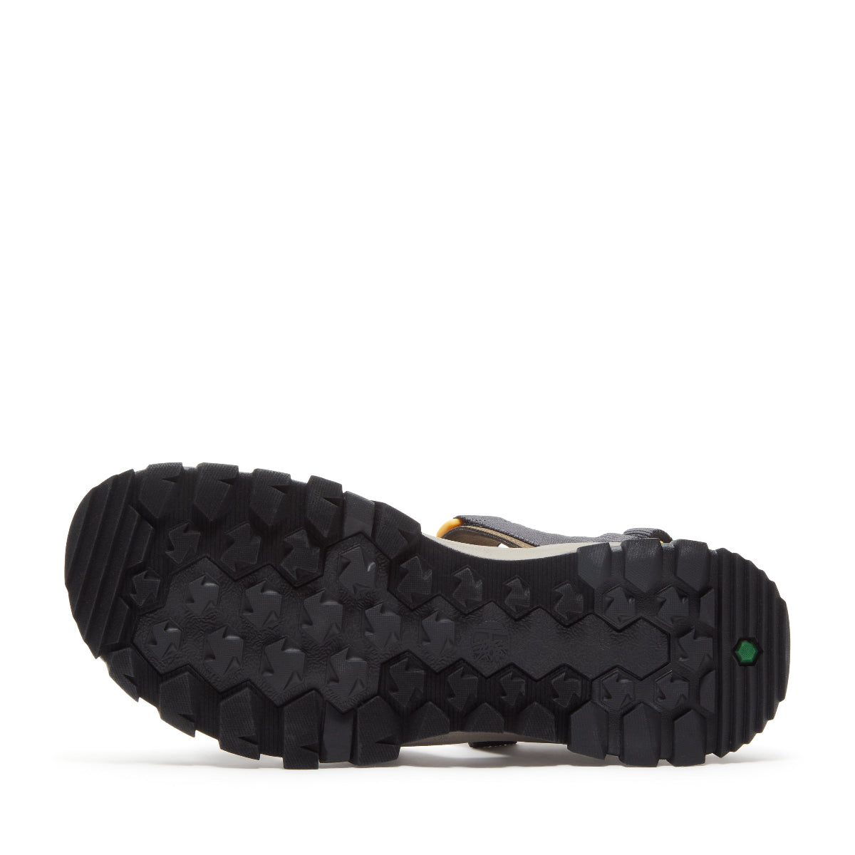dark brown webbing