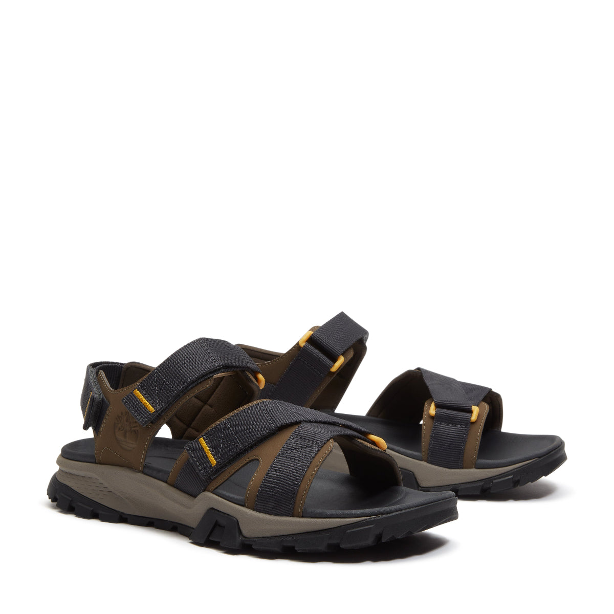 dark brown webbing