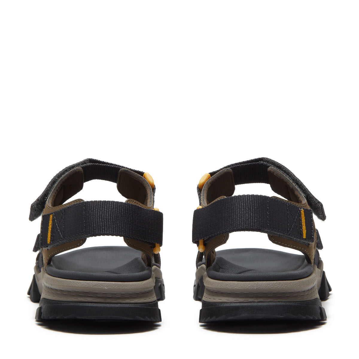 dark brown webbing