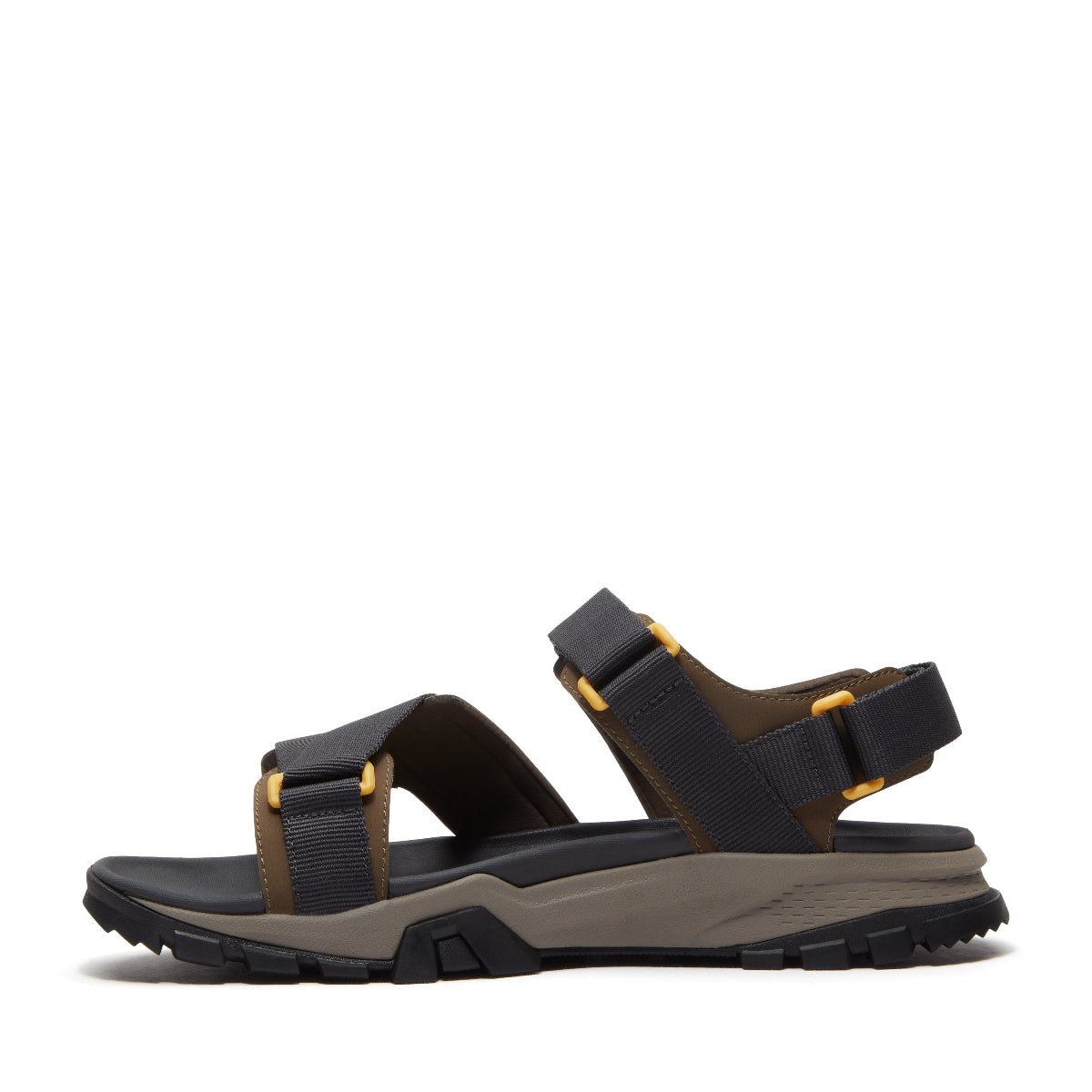 dark brown webbing