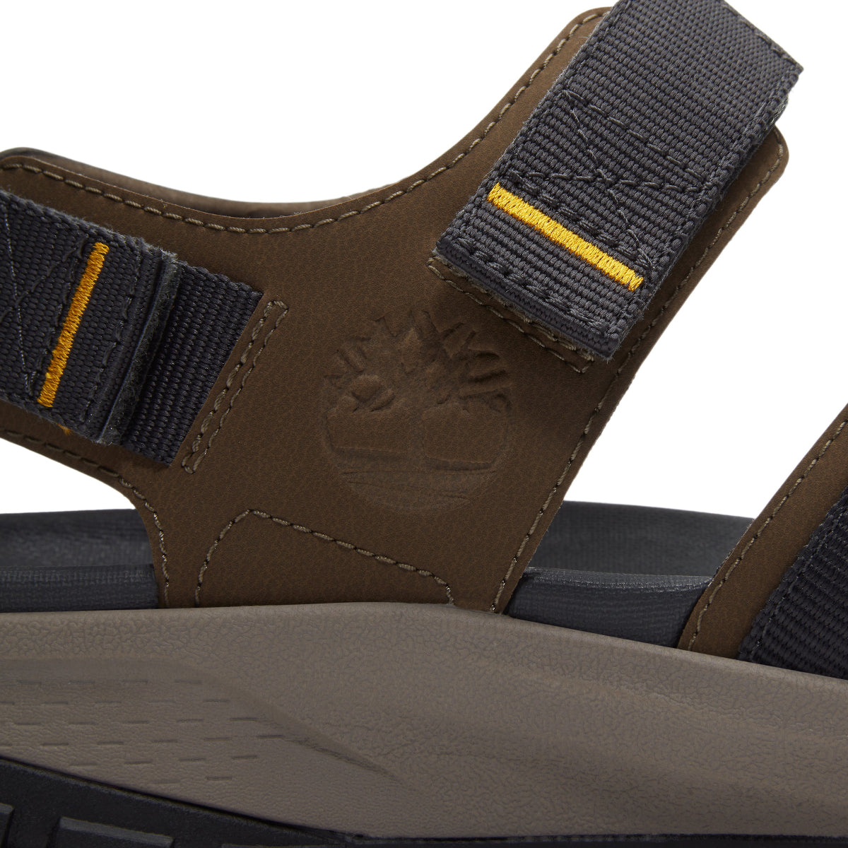 dark brown webbing