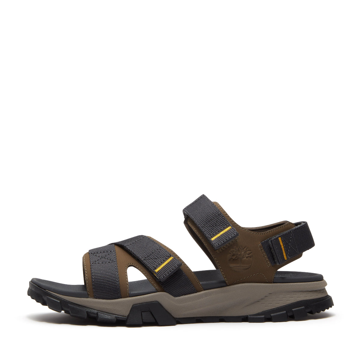 dark brown webbing