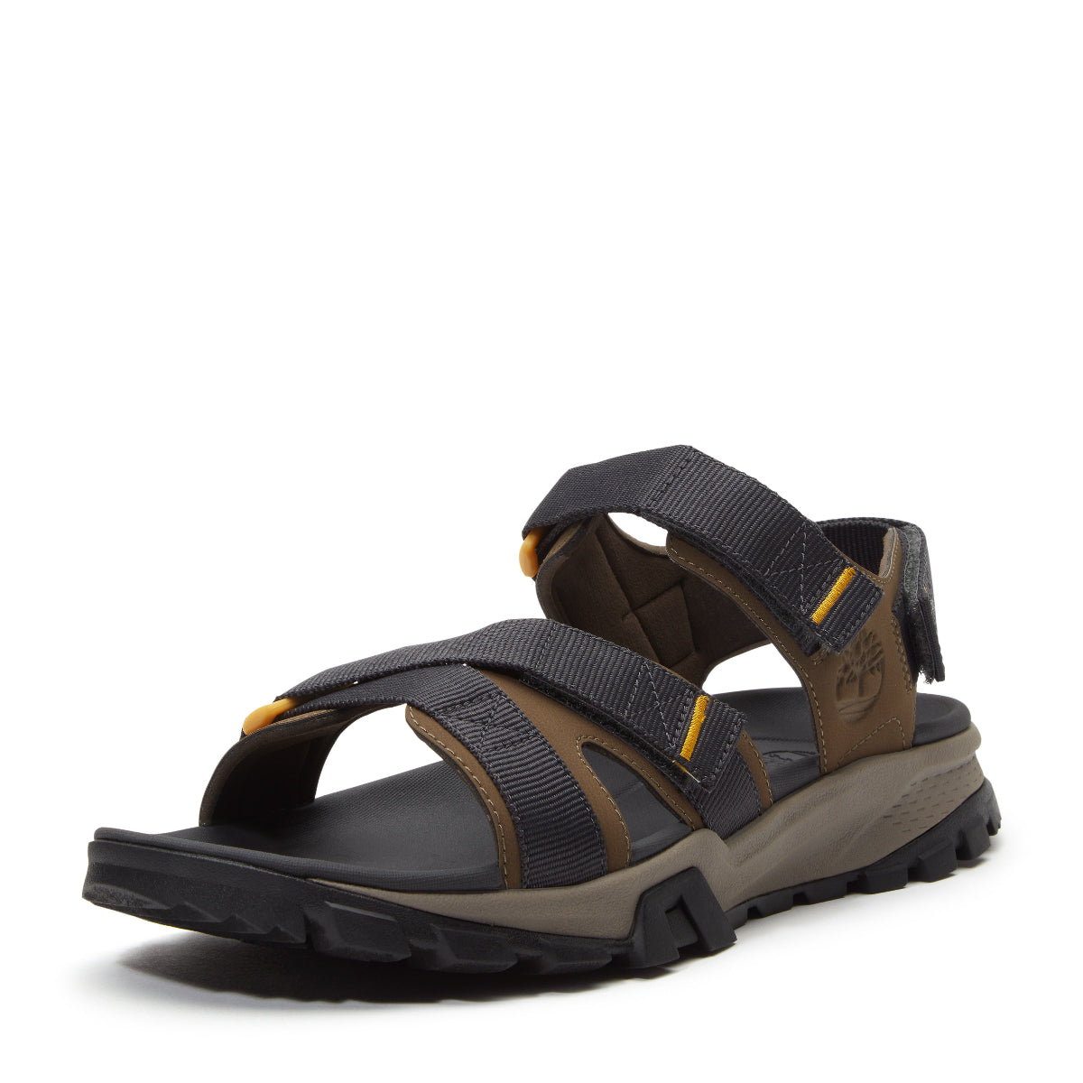 dark brown webbing