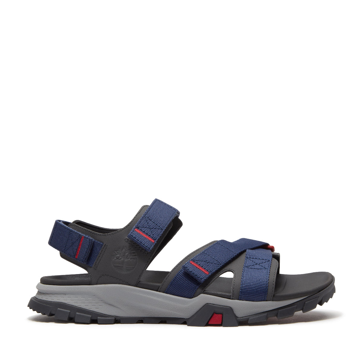 dark blue webbing
