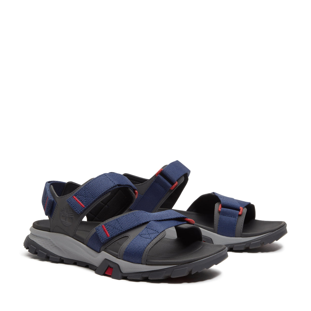 dark blue webbing