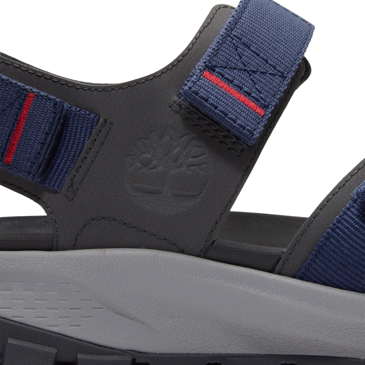 dark blue webbing