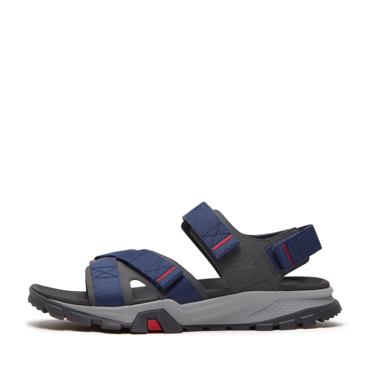 dark blue webbing