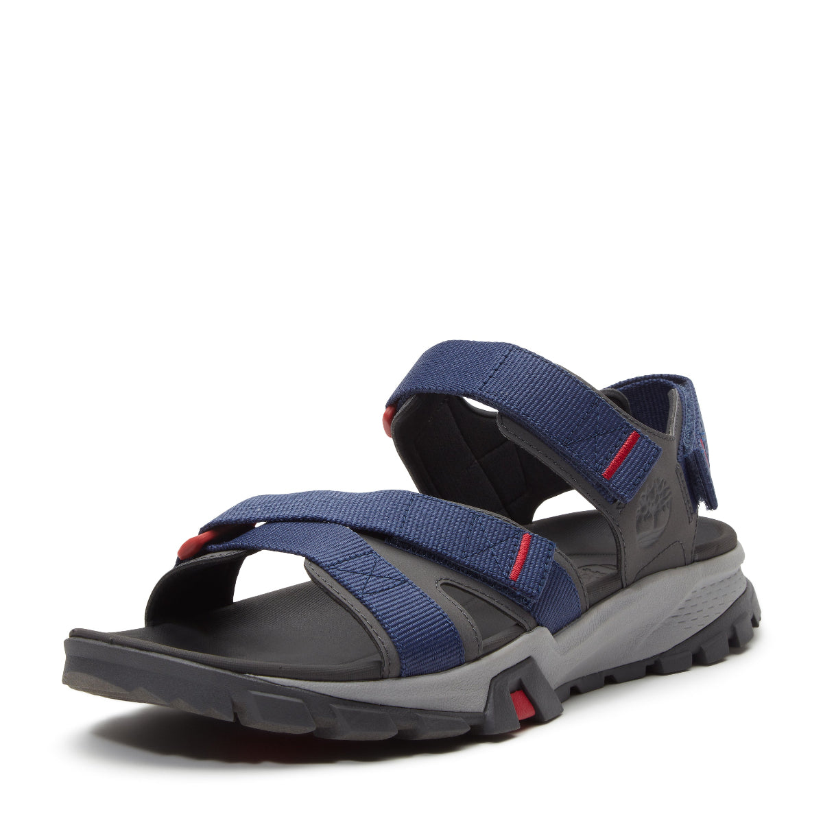 dark blue webbing