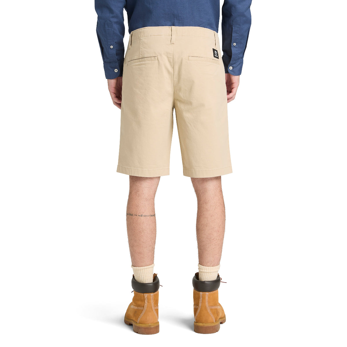 safari