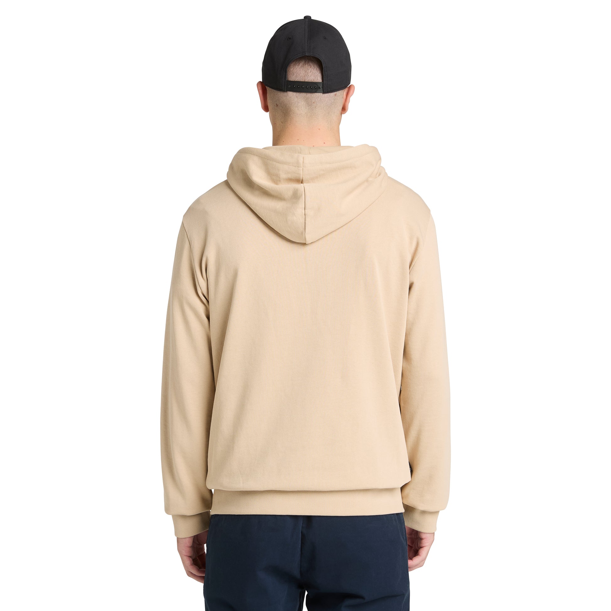 safari