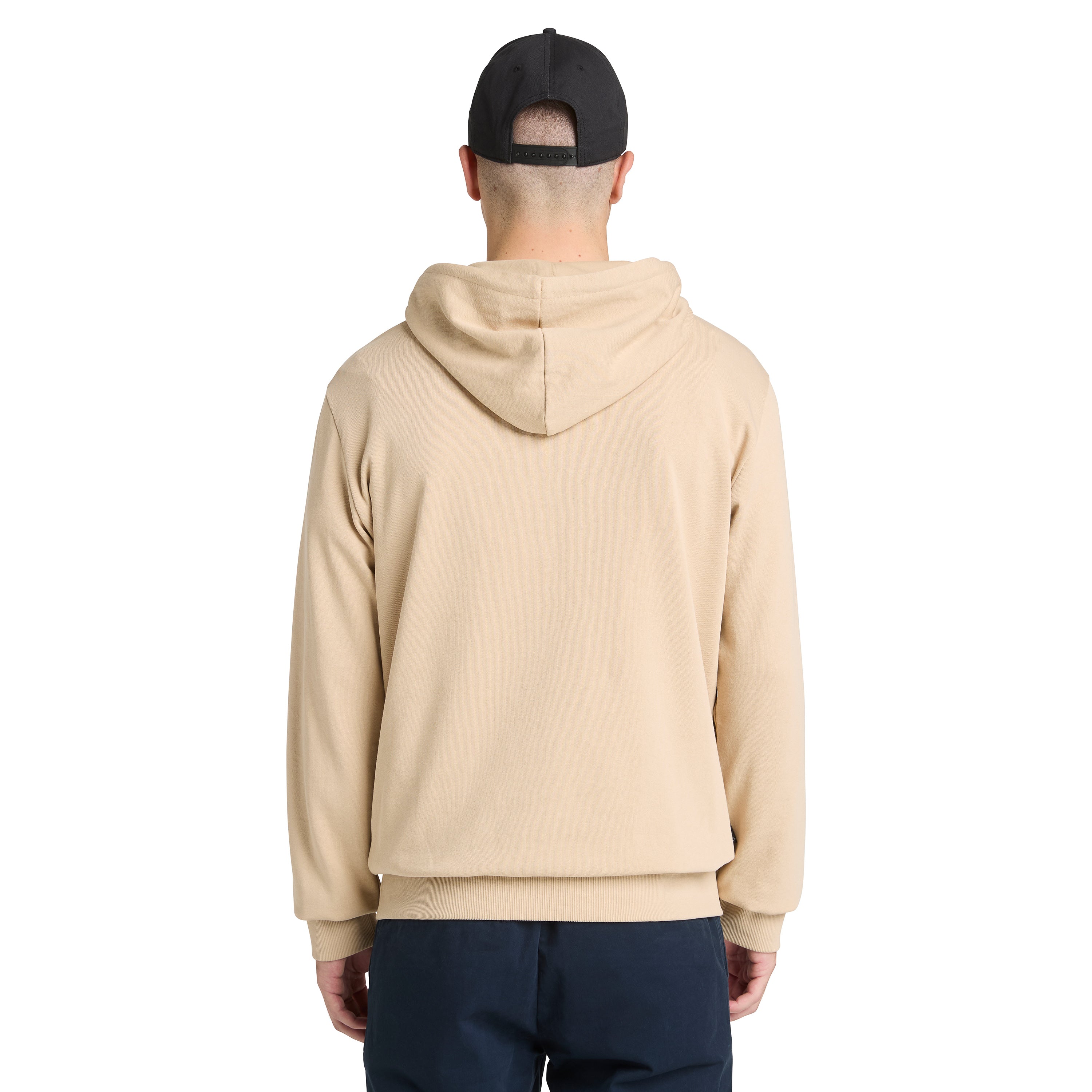 safari