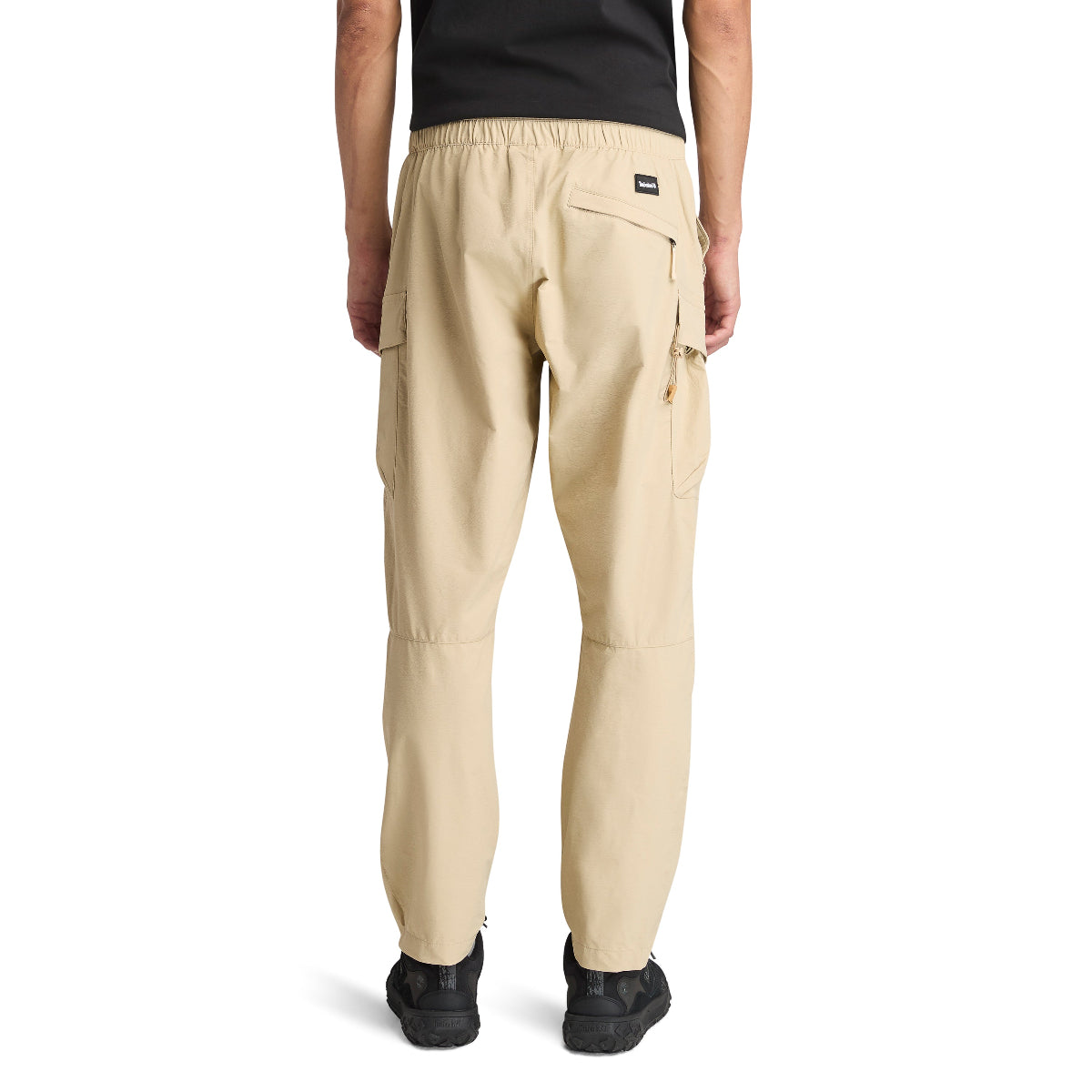 safari