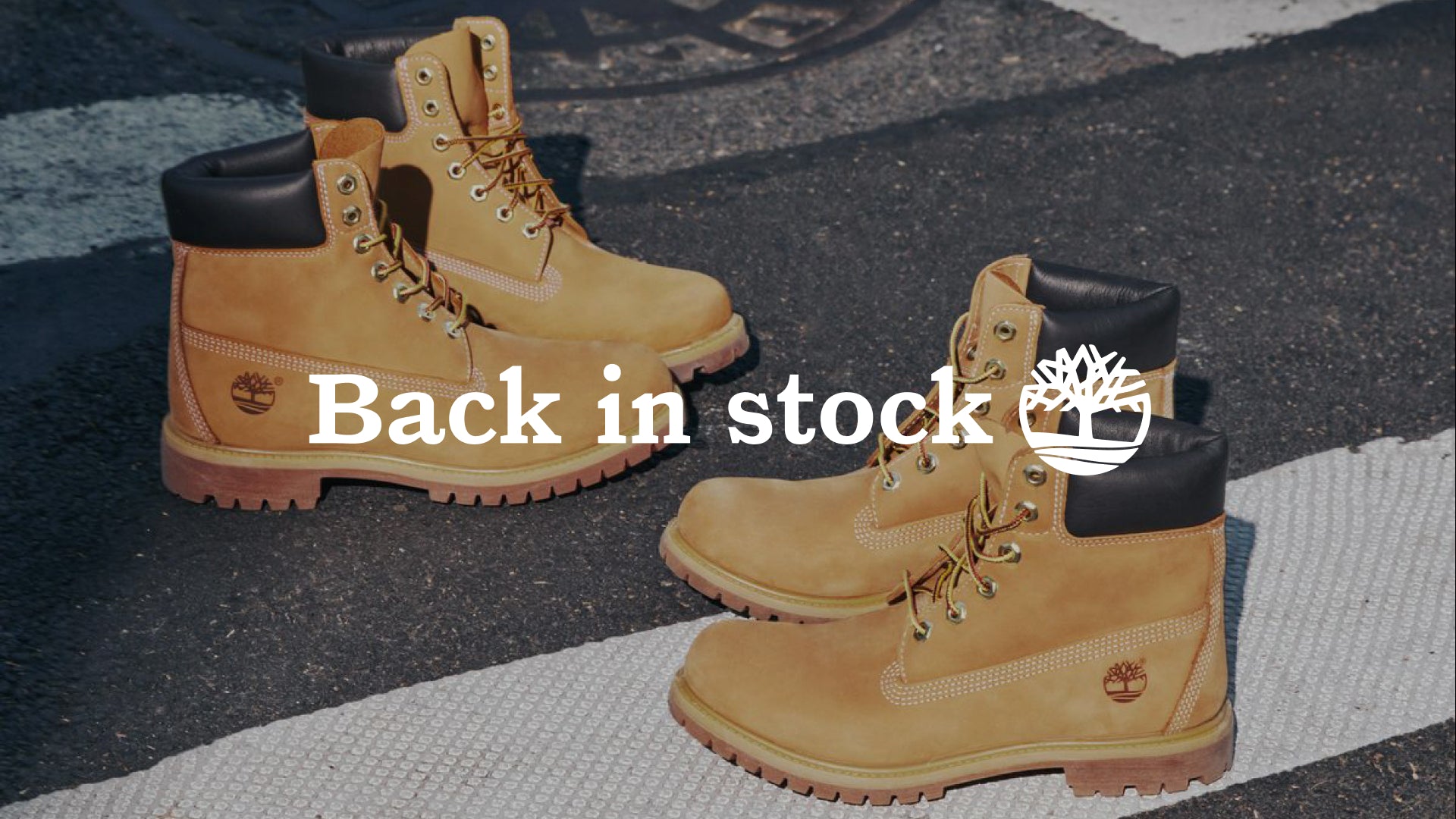 Timberland | Argentina