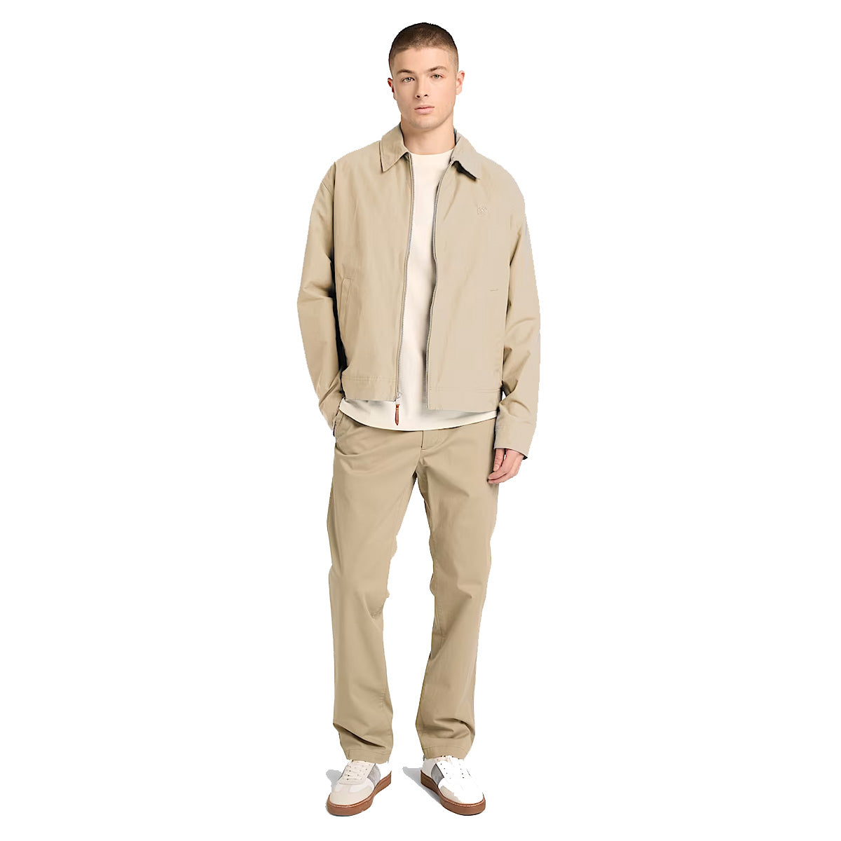 safari