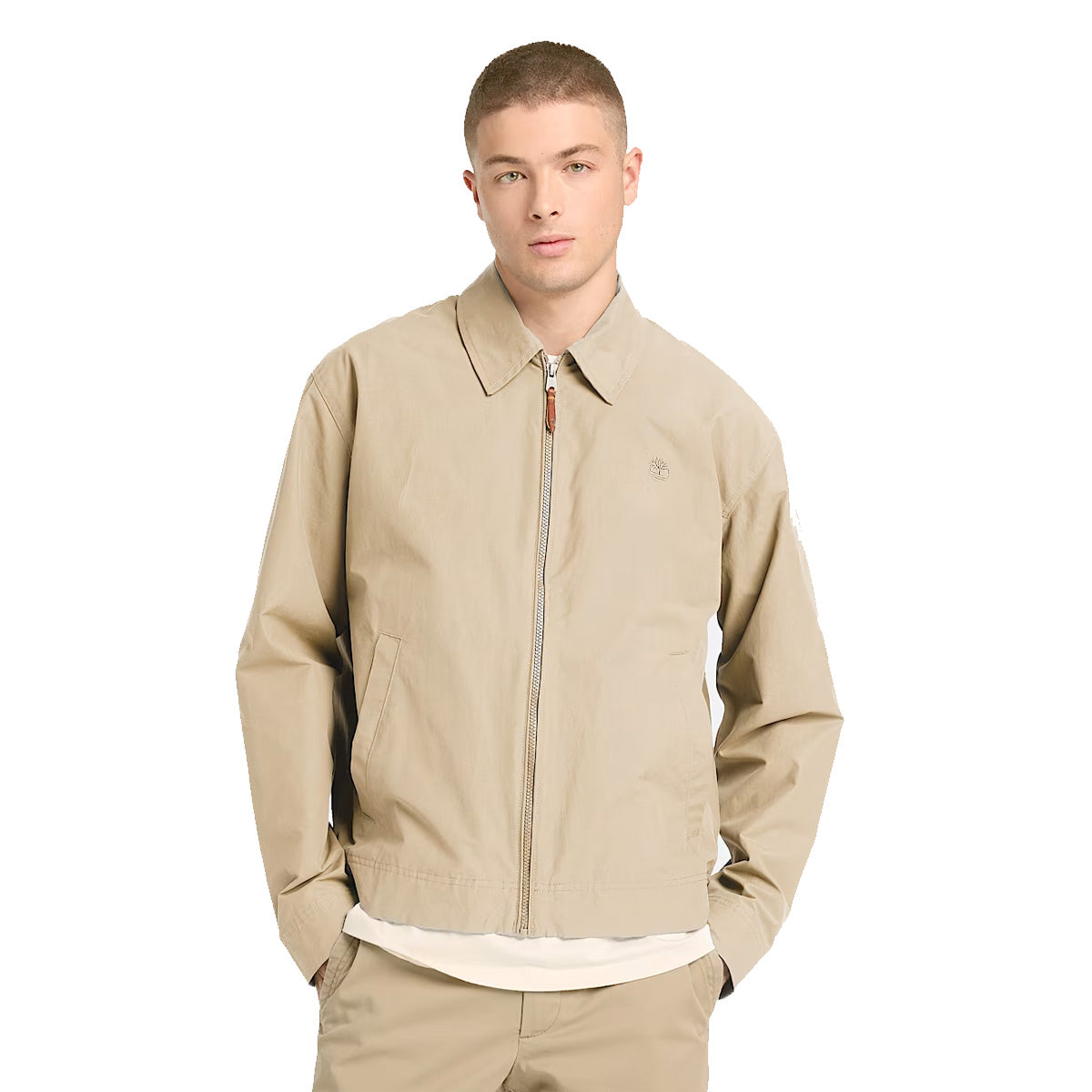 safari
