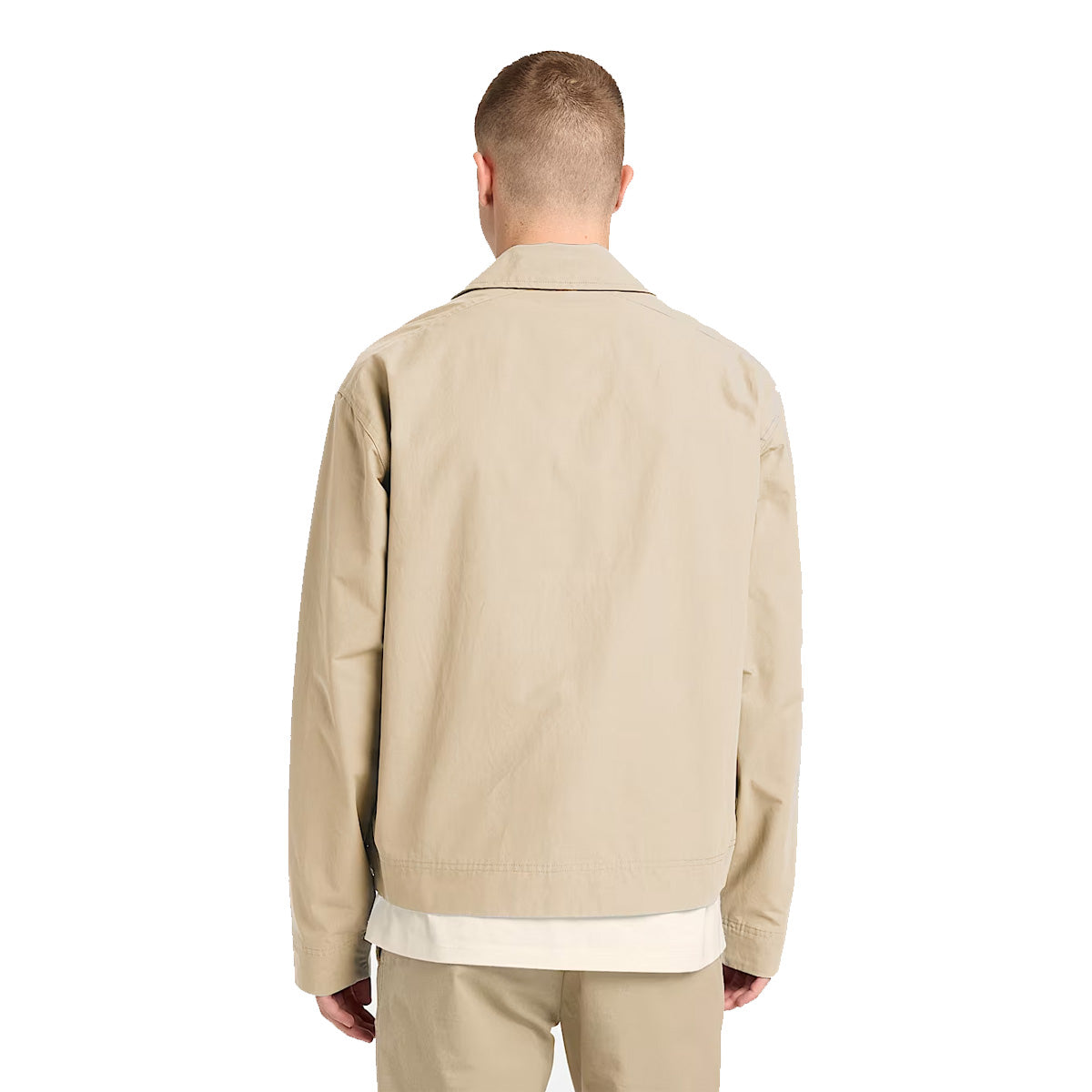 safari